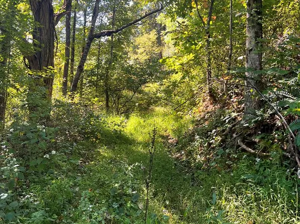 Spencer Branch Rd, Mouth Of Wilson, VA 24363