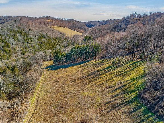 53rd image of 3331 Adamson Branch Rd
