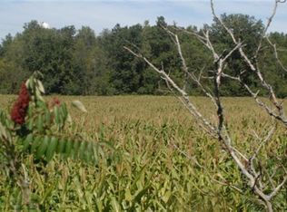 W Hayes Rd, New Era, MI 49446