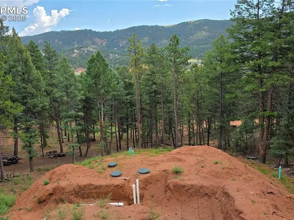 370 Summer Haven Dr, Woodland Park, CO 80863