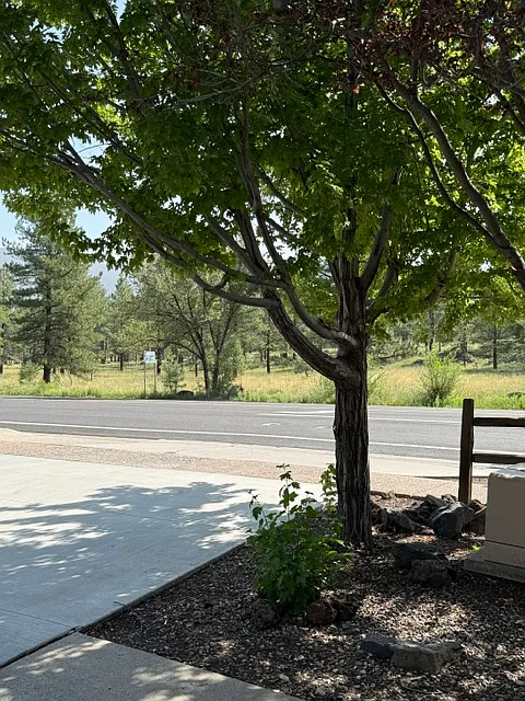 3 bed, 1408 sqft, $2,600 — Photo 2
