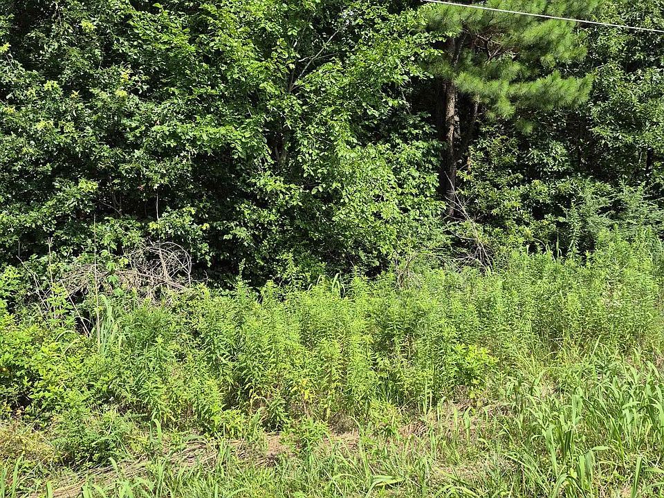 2nd image of 274 Hawkeye Rd