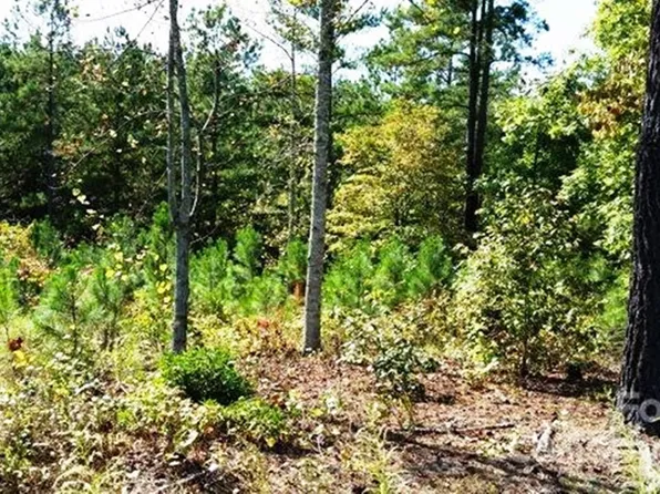 3187 Panoramic Vista Ct NE #62, Connelly Springs, NC 28612