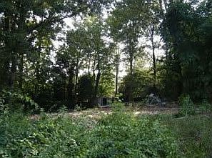 1st image of 114 Brush Arbor Ct