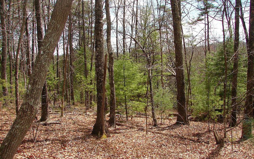 1st image of 0 Roberts Rd