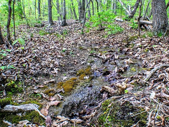 3rd image of 620 Big Ridge Rd Lot 5