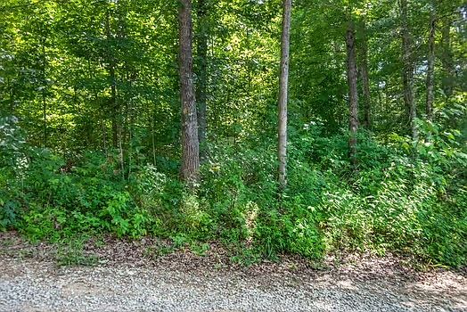 3rd image of 0 Eagle Ln Lot A179