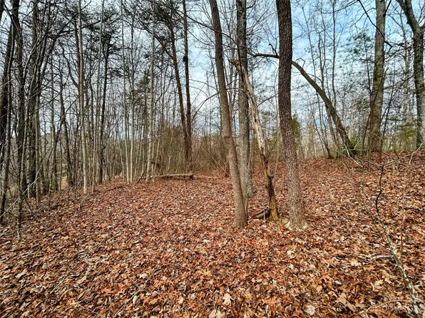 1 Azalea Way, Saluda, NC 28773