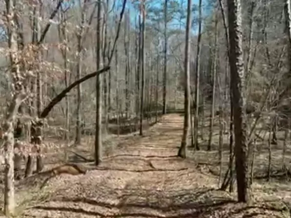 0 Bill Price Rd #0, Daviston, AL 36256