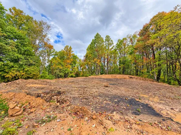 0 Bud Mountain Rd, Herndon, WV 24726