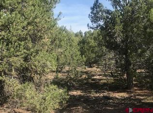 1080 Green Shadows Rd, Durango, CO 81303