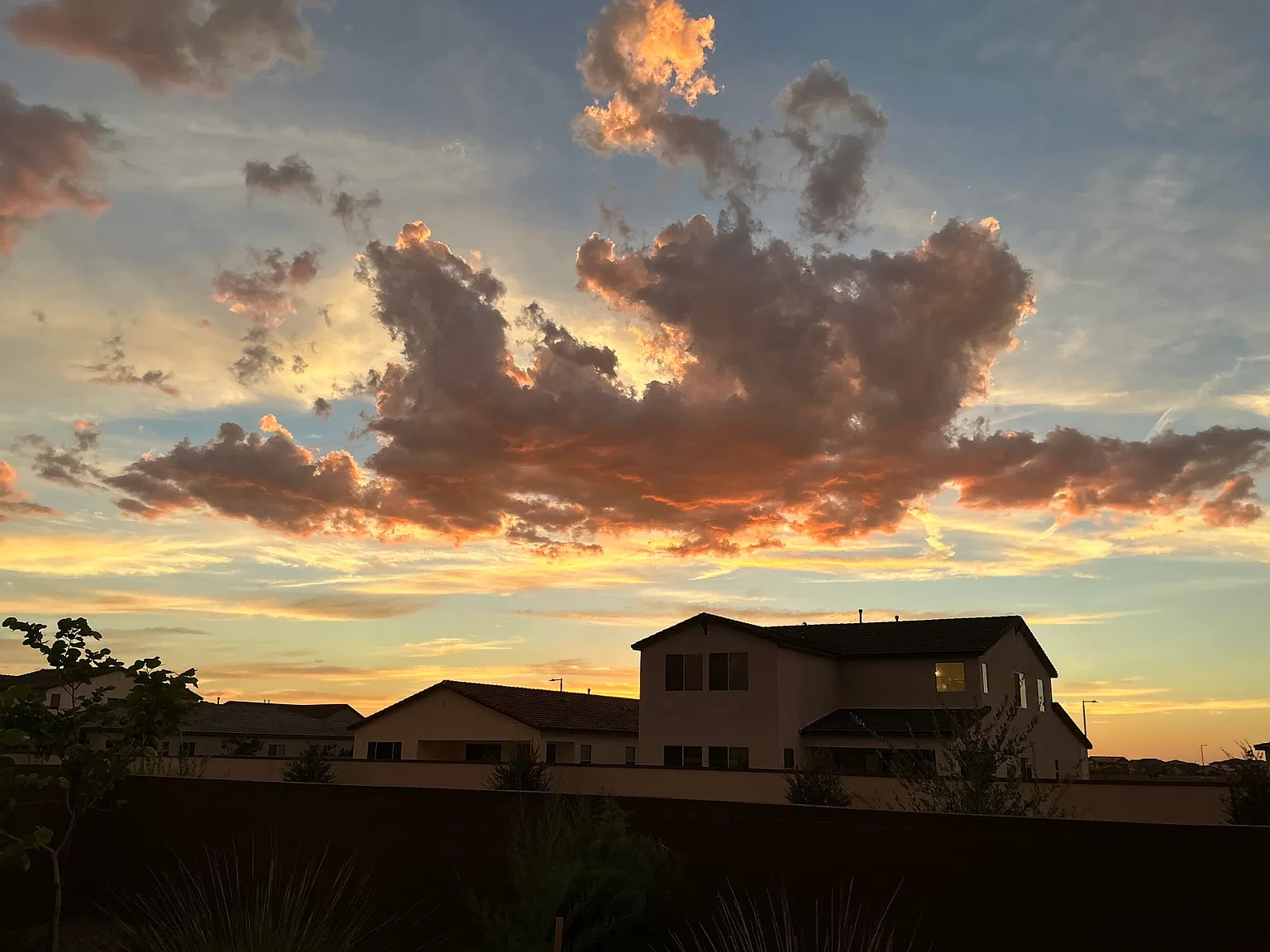 1 bed, 600 sqft, $2,000 — Photo 1