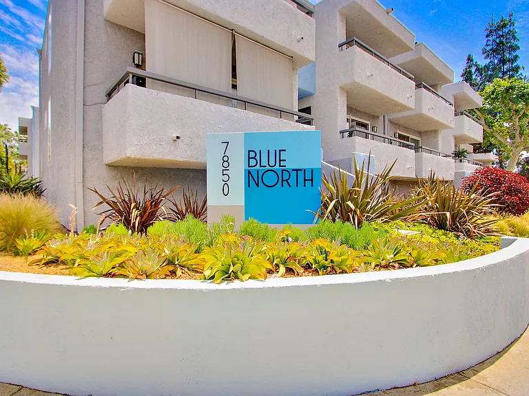 Blue North — Photo 60