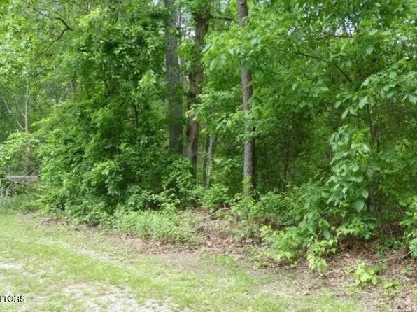 0 George Young Rd Lot 45, Jamestown, TN 38556