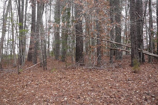 1st image of Lot 83 Anchor