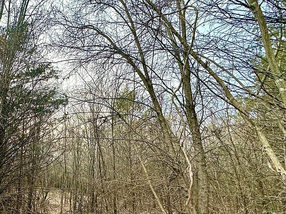 5th image of Lot 6 Mack Road