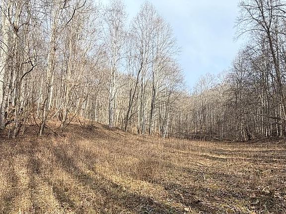 5th image of 491 Otter Mountain Rd