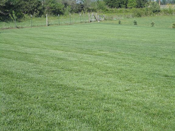 .55 acre lot makes a big back yard