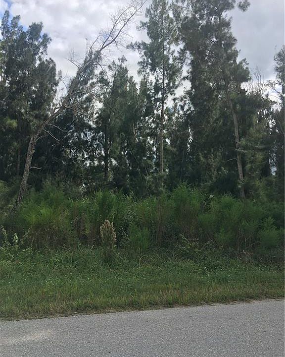 2nd image of 30491 Tangelo Rd