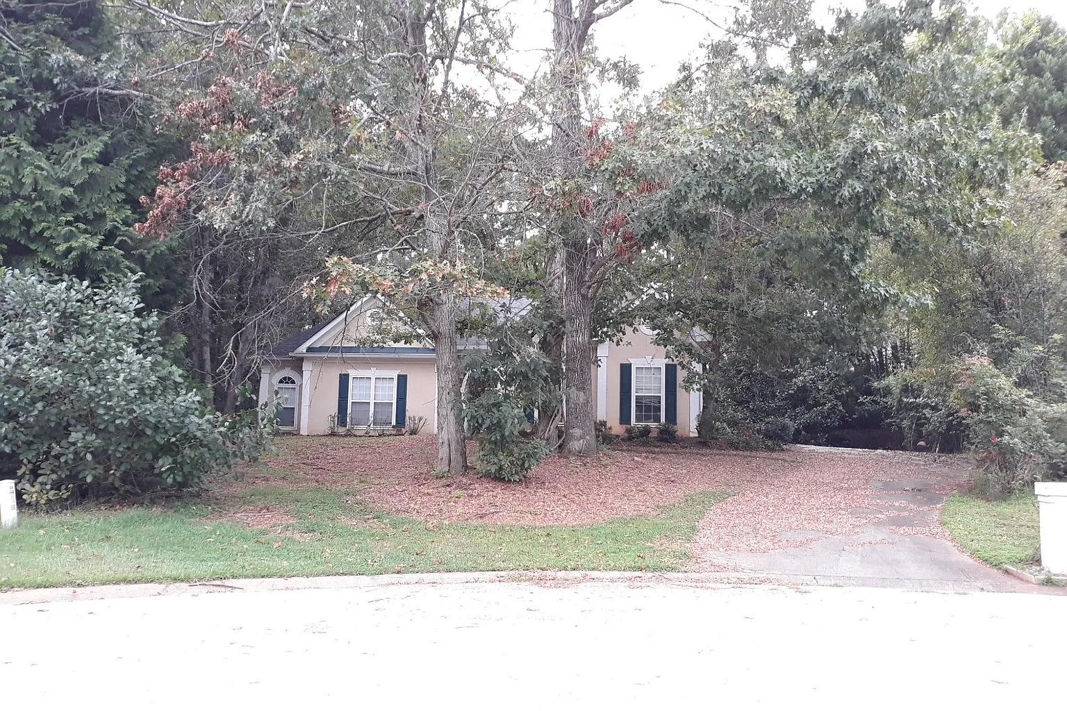 25 Wisteria Pt photo 1