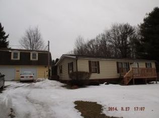 91 Tulls Corners Rd, Candor, NY 13743