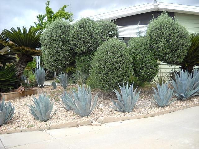 1st image of 31745 Via Valdez St