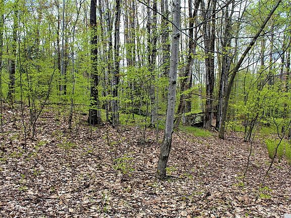 5th image of 0 White Birch Lane