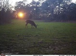 1 Greens Crossing Rd, Ridgeland, MS 39157