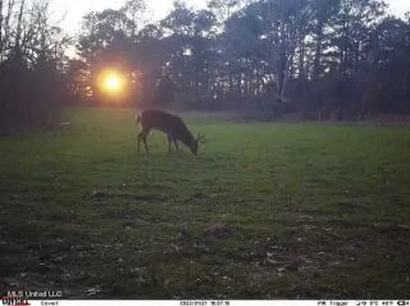 1 Greens Crossing Rd, Ridgeland, MS 39157