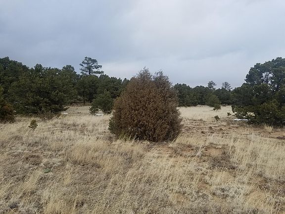 3rd image of 5 Cattlemens Ct