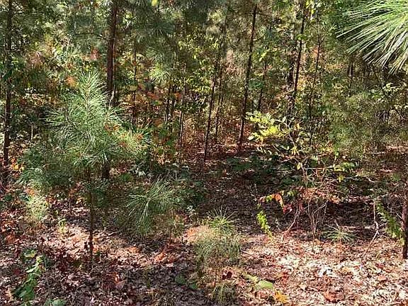 4th image of 125 Mountain Oaks Dr
