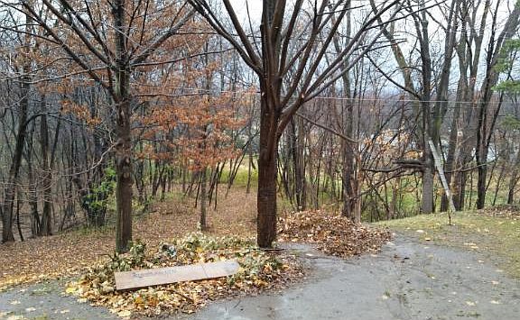 3rd image of 11107 Carver Ct