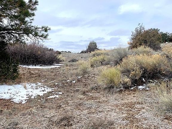 3rd image of 104 Prairie Dog Ln
