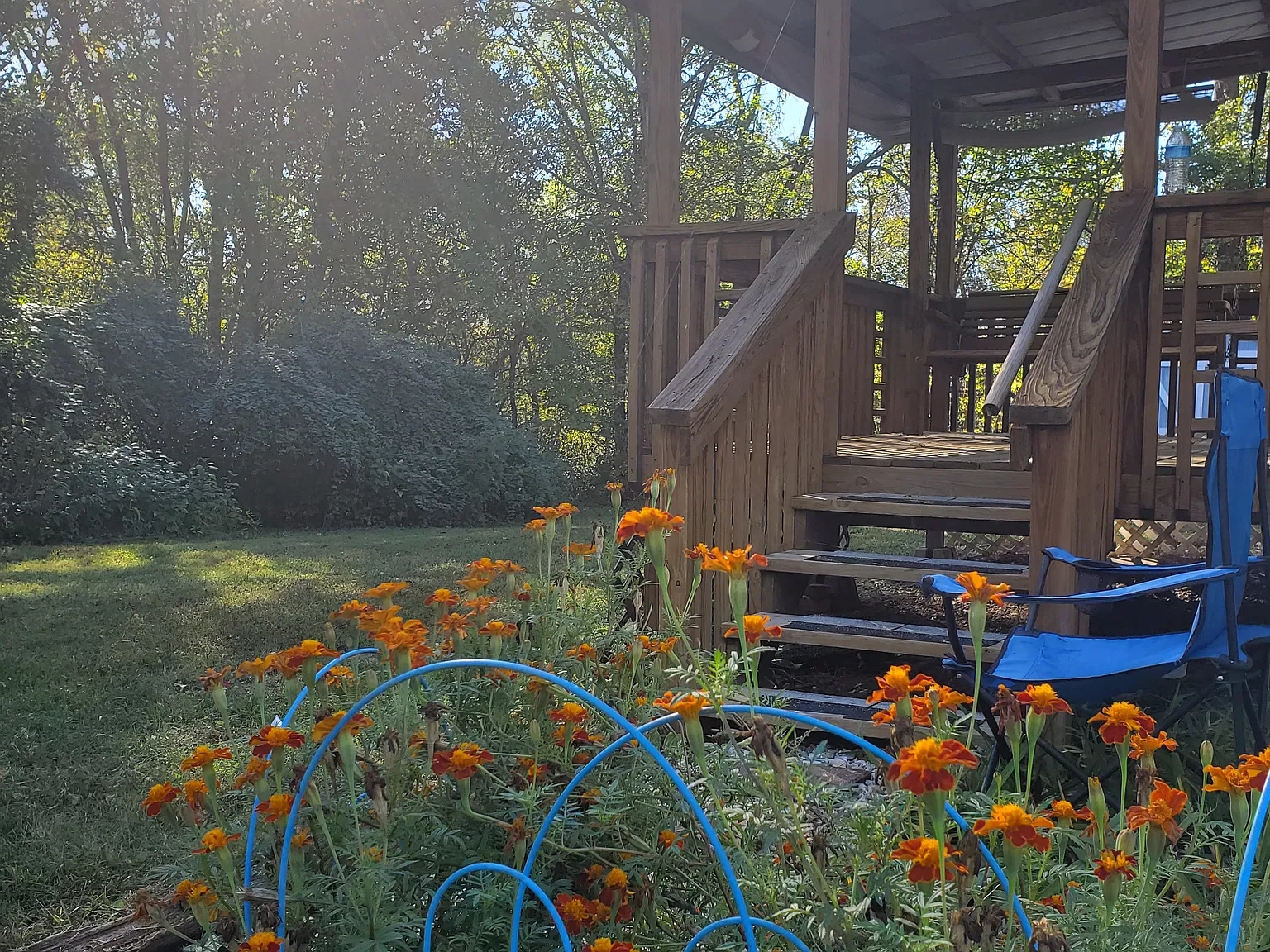 2 bed, 800 sqft, $825 — Photo 1