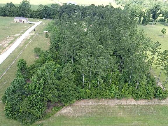5th image of 7 W Big Branch Dr