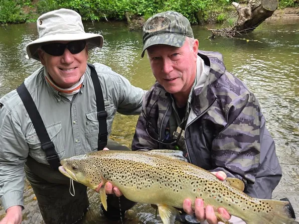 0 Mountain Vista Dr, Saluda, NC 28773