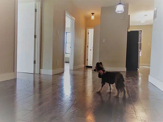 Rented by Corcoran | media 19