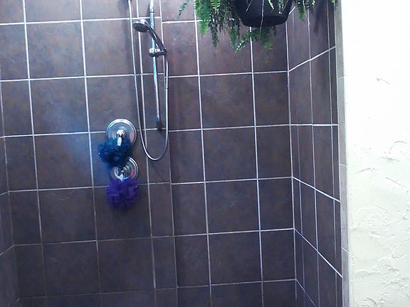 Master shower