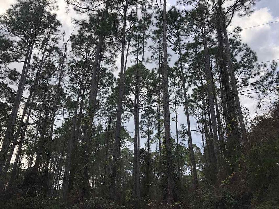 2nd image of 6905 Cypress Lake Ct