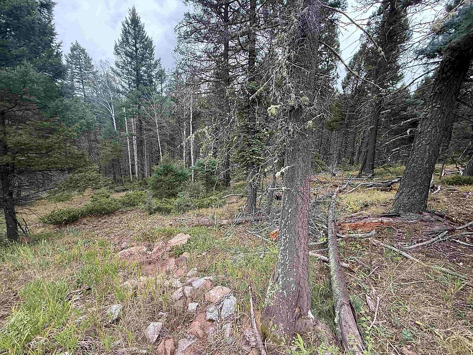 2nd image of 256 Back Basin Rd