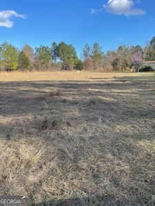 1564 Chapman Plantation Rd, Jesup, GA, 31545