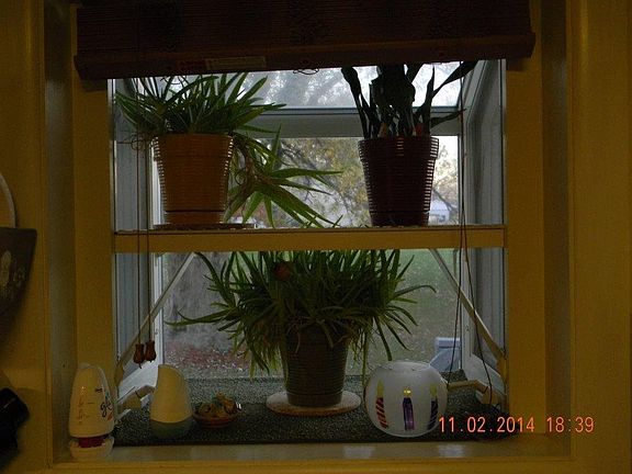 201551327_4