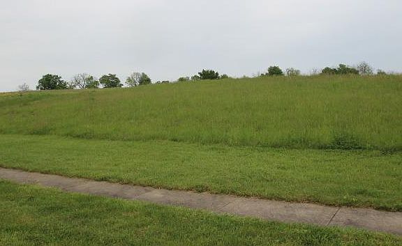 4th image of 1020 Green Gdn