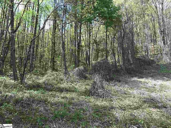 3rd image of 35451 Old Highway 25