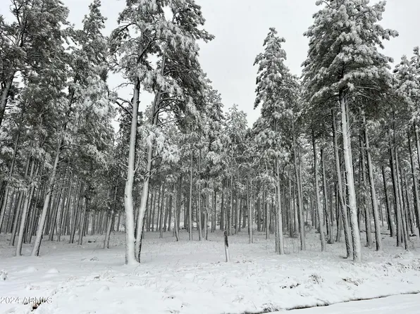 9586 SIERRA SPRINGS Way #7, Pinetop, AZ 85935