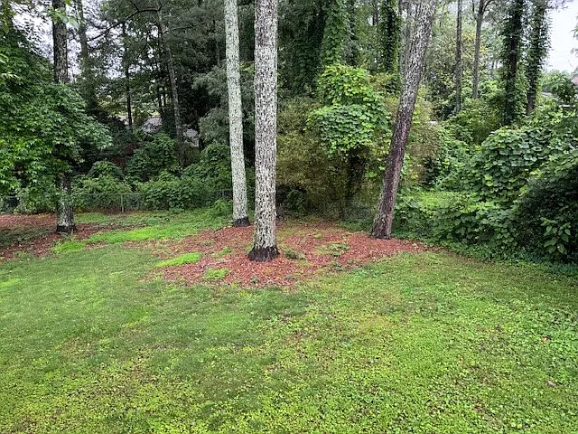 large private fenced backyard