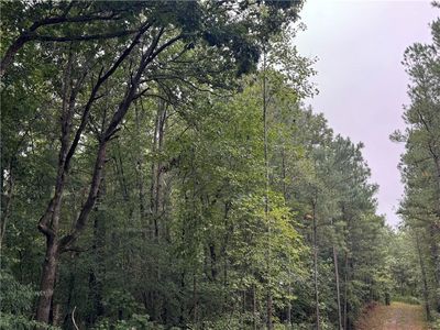 0 Wilson Rd, Temple, GA, 30179
