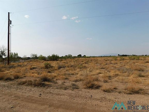 4th image of Earl Scott Trl SW