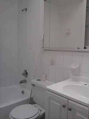 Rented by 18 REALTY | media 38
