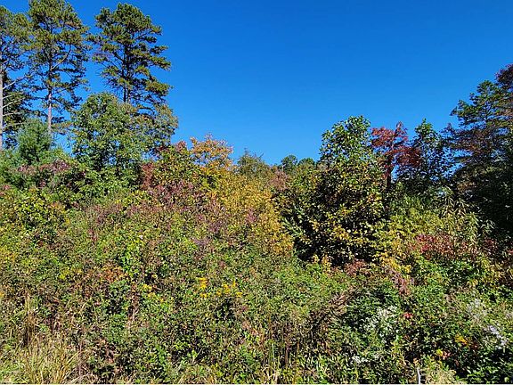 2nd image of LOT 21 Brookhaven Dr